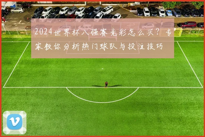 2024世界杯八强赛竞彩怎么买？专家教你分析热门球队与投注技巧