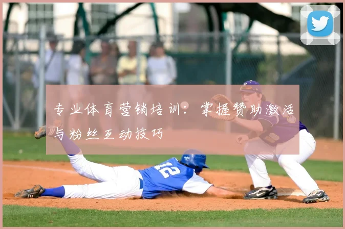 专业体育营销培训：掌握赞助激活与粉丝互动技巧